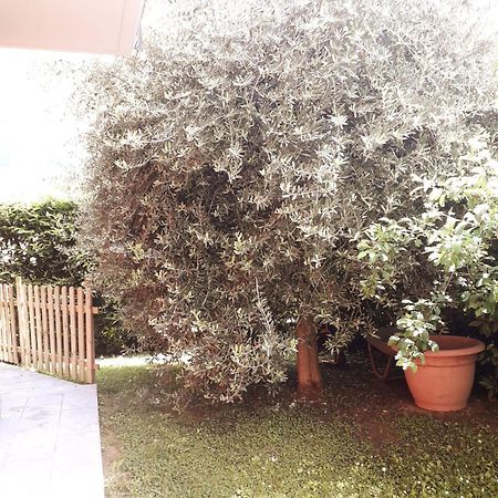 مبيت وإفطار Santa Giuletta Beb Ulivo المظهر الخارجي الصورة